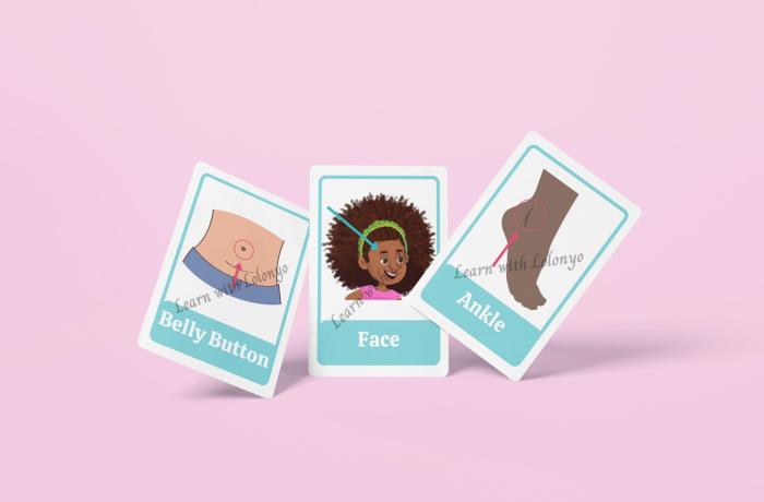 My Body Flashcards | Ages 3-6 | Anatomy Cards | Toddler Learning Tools | Body Parts Recognition | Preschool Education Flashcards