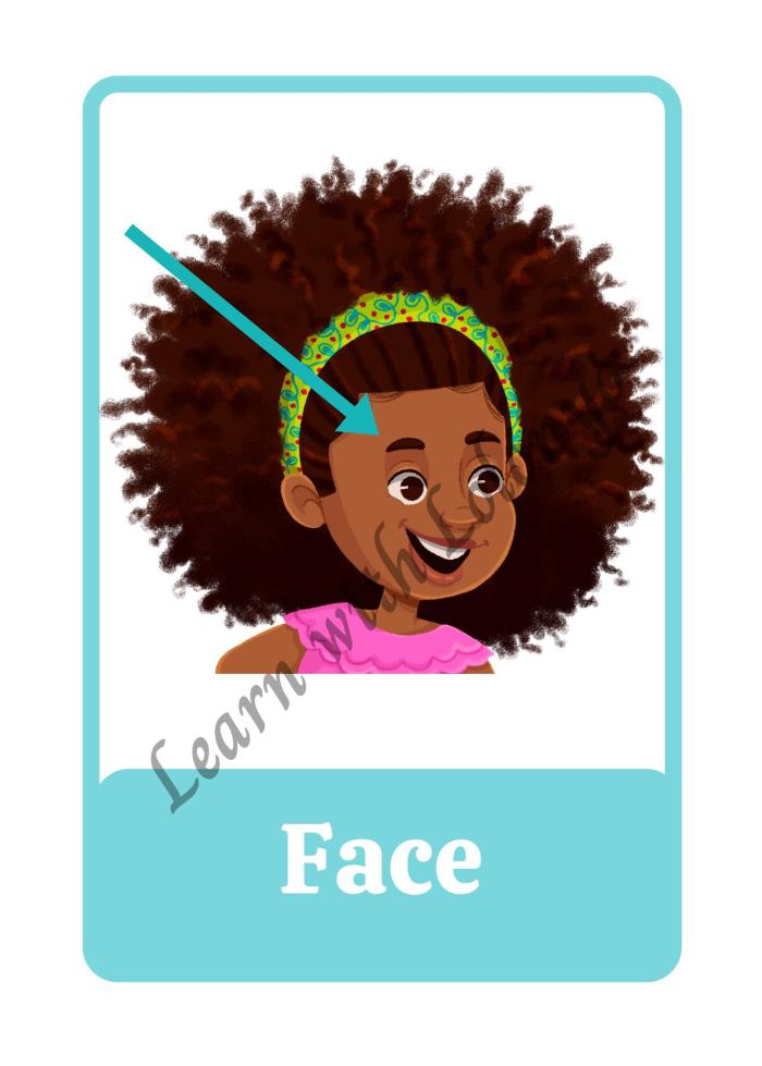 My Body Flashcards | Ages 3-6 | Anatomy Cards | Toddler Learning Tools | Body Parts Recognition | Preschool Education Flashcards