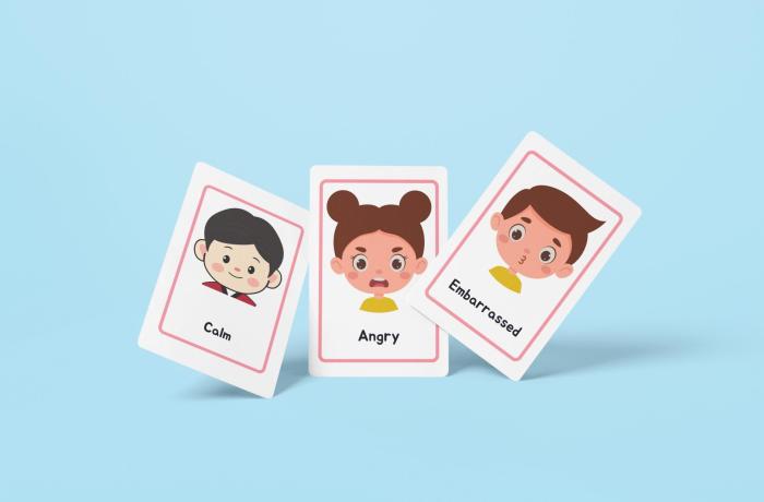 Feelings & Emotion Flashcards | Ages 3 -6 | Early Learning |Active Learning