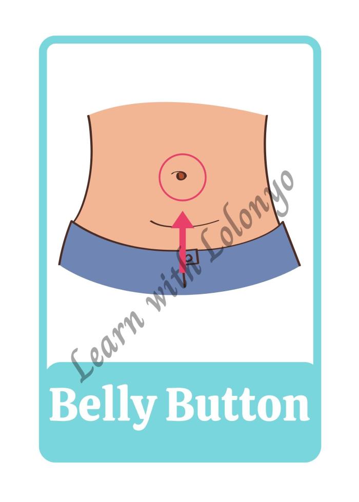 My Body Flashcards | Ages 3-6 | Anatomy Cards | Toddler Learning Tools | Body Parts Recognition | Preschool Education Flashcards